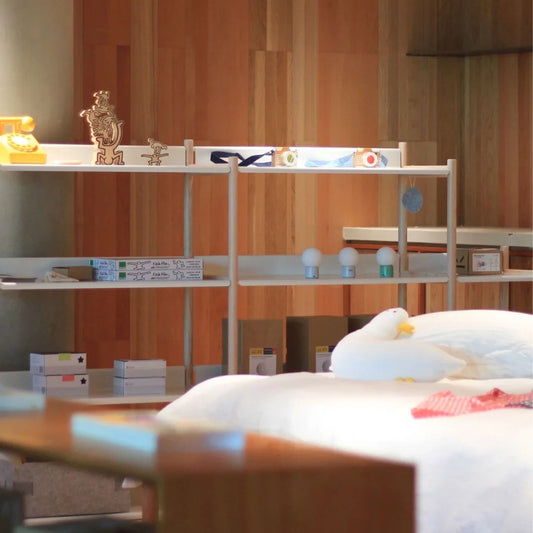 Modular Storage System