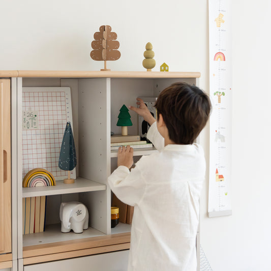 Plus Modular Storage System Accessories