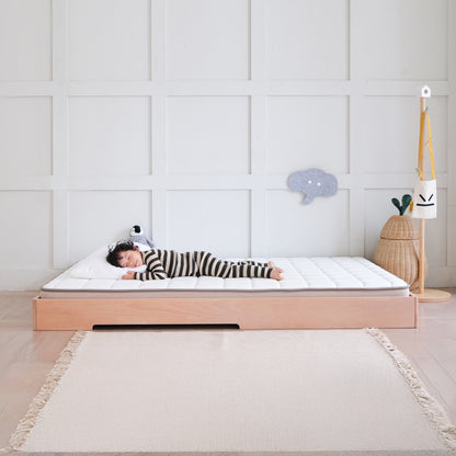 Latex & Natural Coconut Mattress