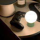 Little Bulb Portable Nightlight LITE