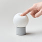 Little Bulb Portable Nightlight PRO